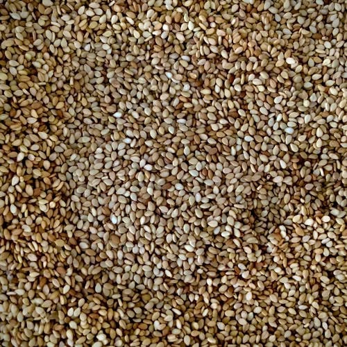 Organic raw sesame seeds