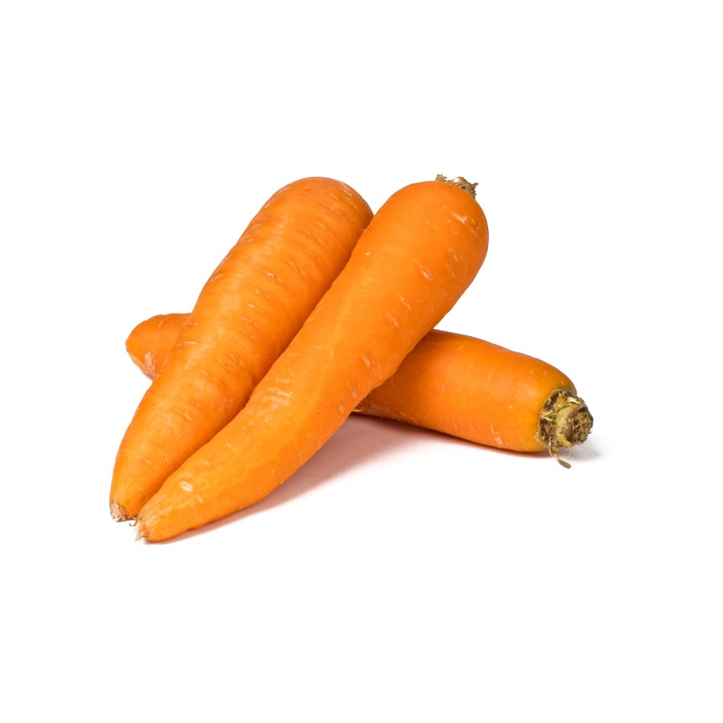 Carrot