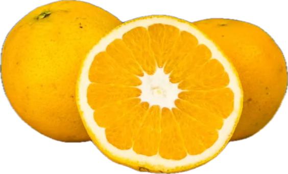 Naranja ecológica