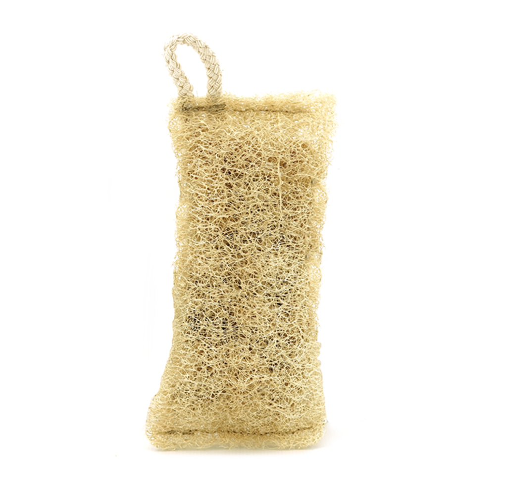 Premium luffa scourer