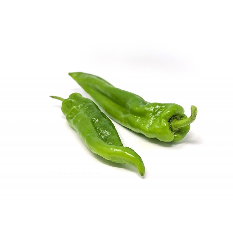 Pimiento verde italiano 