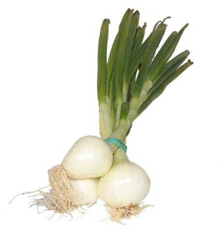 Cebolla tierna ecológica