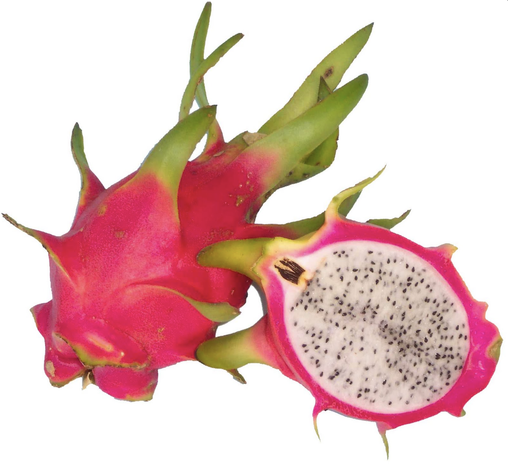 Pitaya ecológica