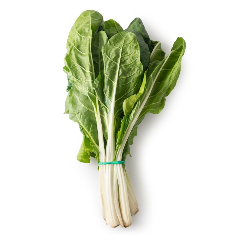 Acelgas blanca ecológicas