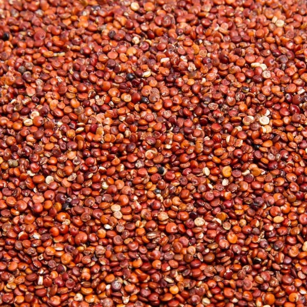 Quinoa roja ecológica