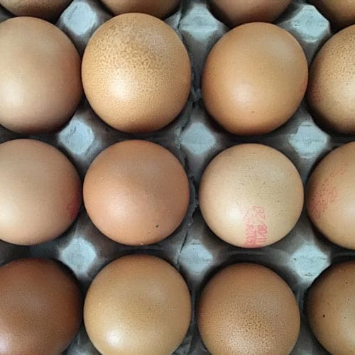 Free range eggs