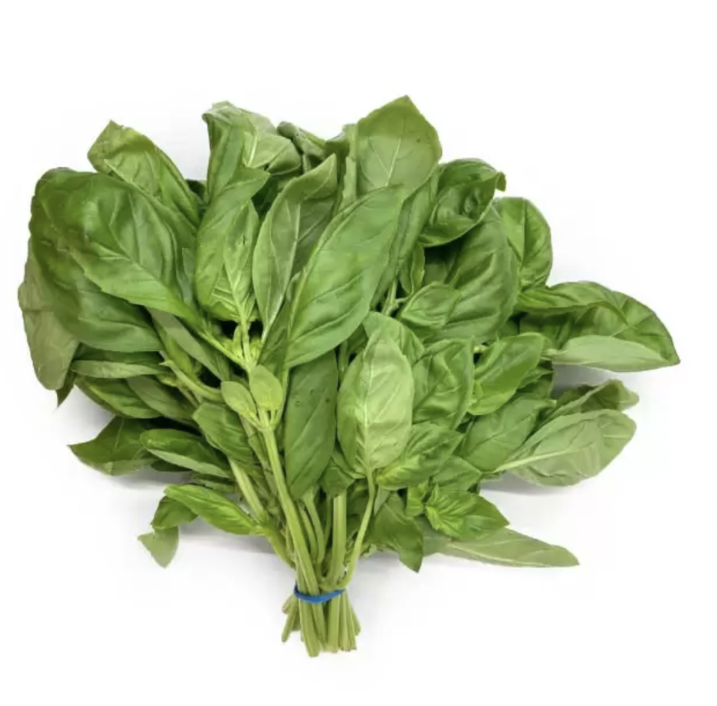 Organic fresh basil