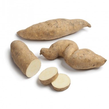 Batata blanca