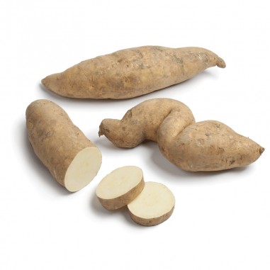 Organic Hannah Sweet Potato