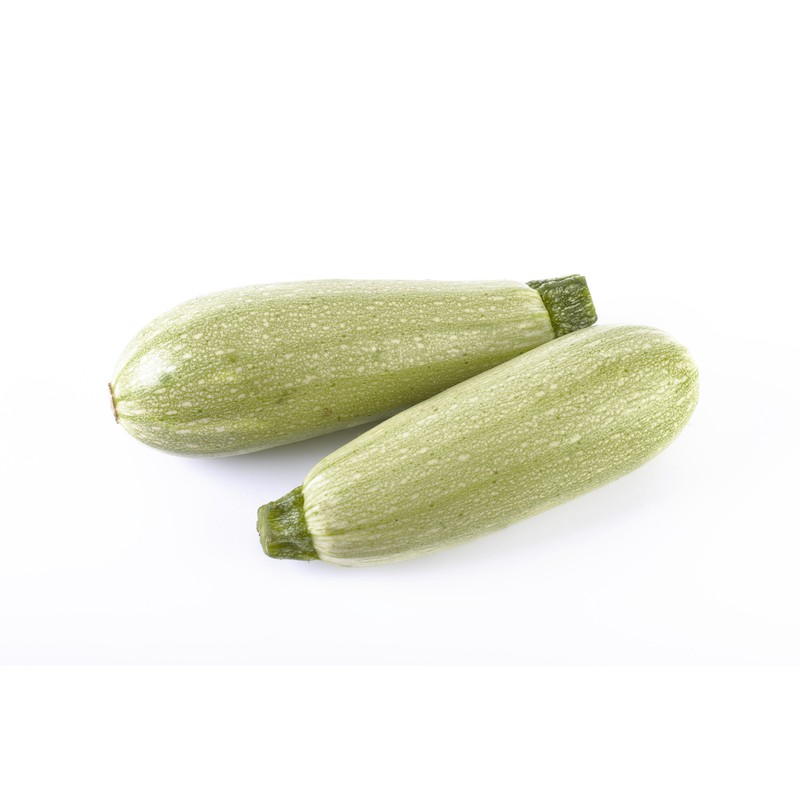 Calabacín blanco ecológico