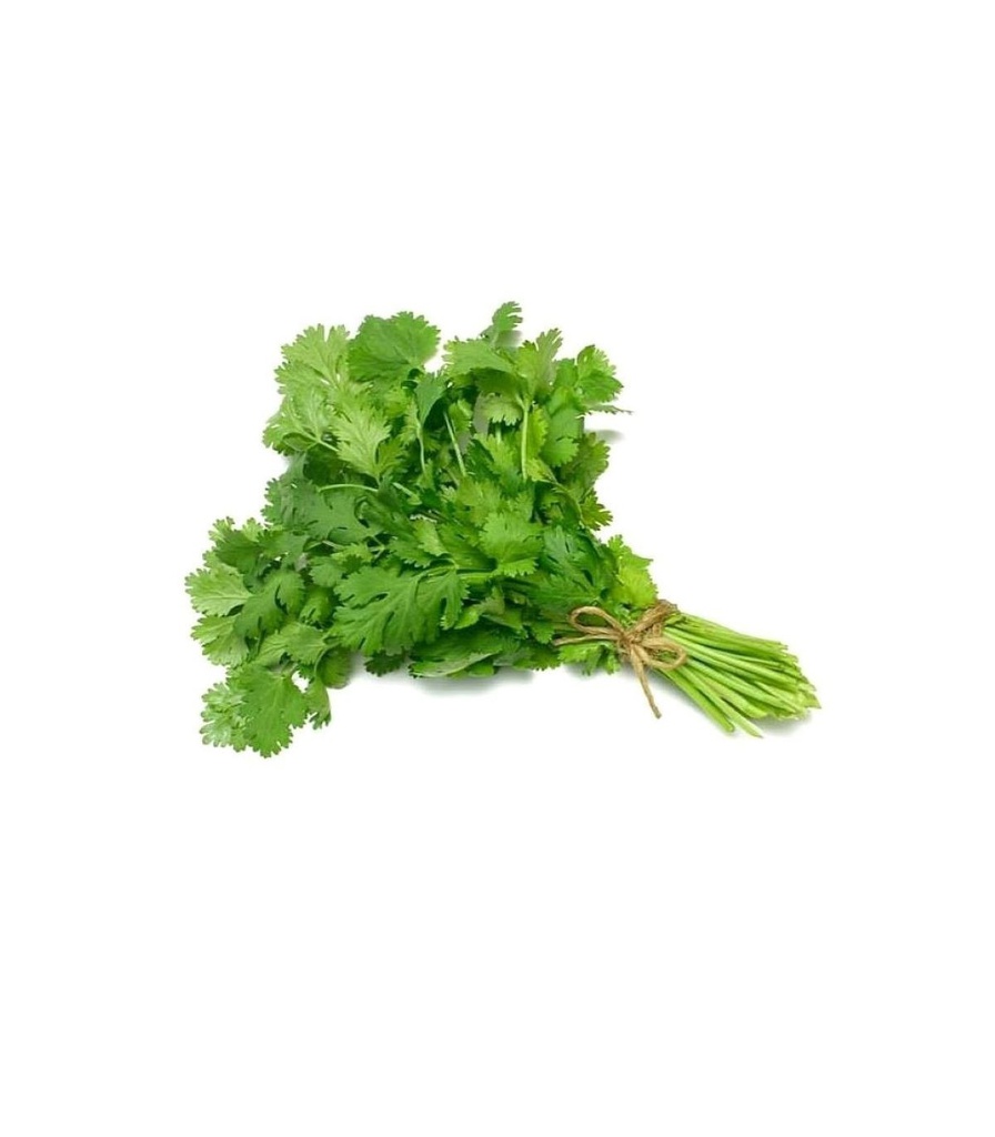 Fresh cilantro/coriander