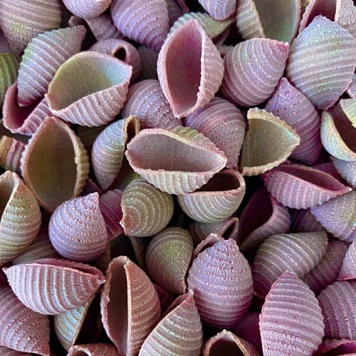 Organic beet conchiglie