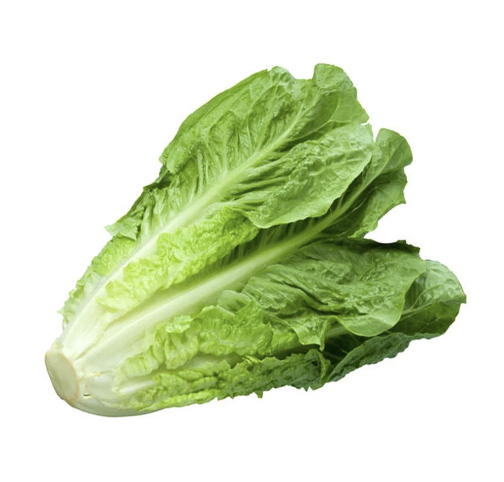 Organic romaine lettuce