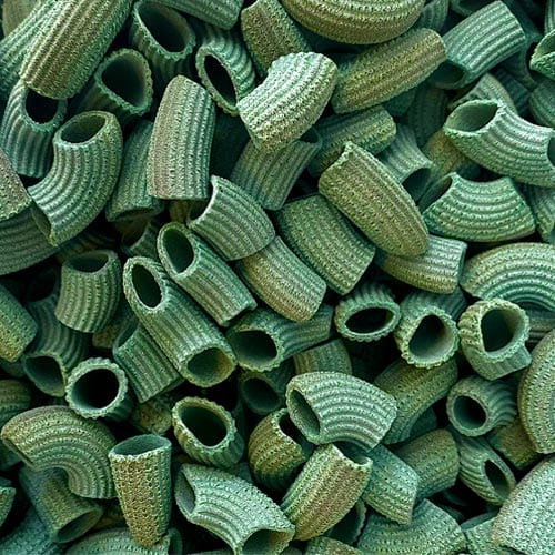 Maccheroni artesanal con espirulina ecológicos