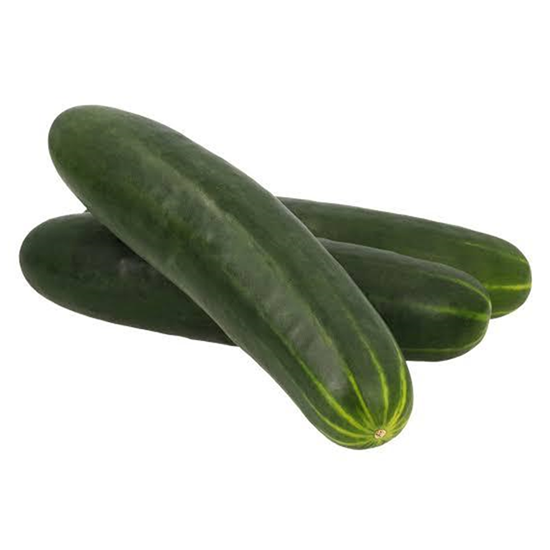 Pepino del pais ecológico