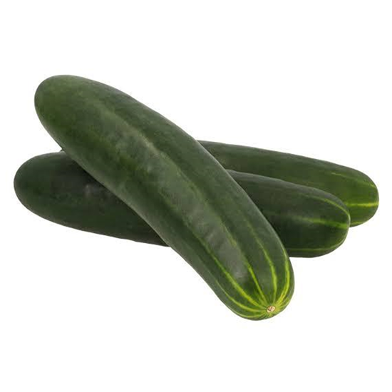 Cucumber