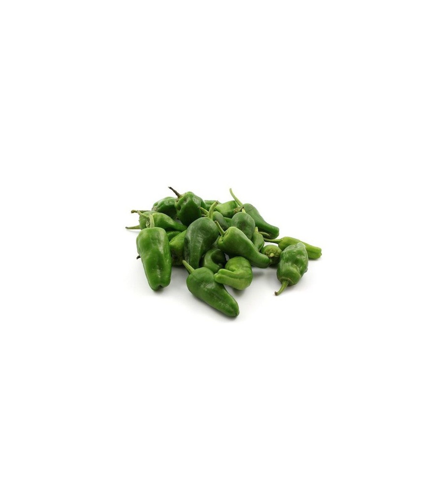 Organic Padrón's pepper