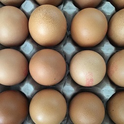 Free range eggs