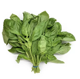 [10045] Organic fresh basil