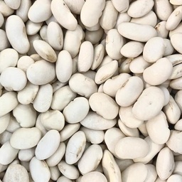 [10243] White beans
