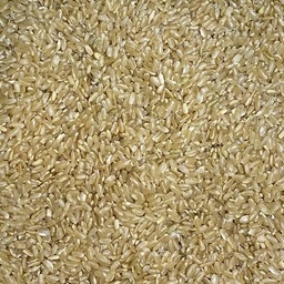 [ALI0002INT] Organic brown round rice