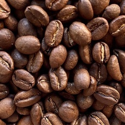[10079] Premium Fair Trade Coffee - AMUCC