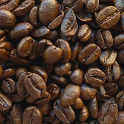 Café Premium 100% Arábica descafeinado TN
