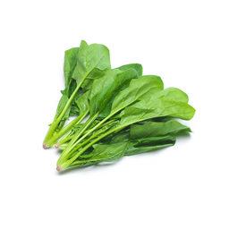 [10230] Fresh spinach