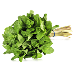 [10306] Hierbahuerto ecológico