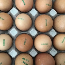 Huevos ecológicos