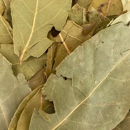 [ALI0007LAU] Bay leaf / Laurel