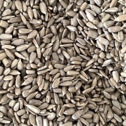 [ALI0004GIP] Peeled sunflower seeds