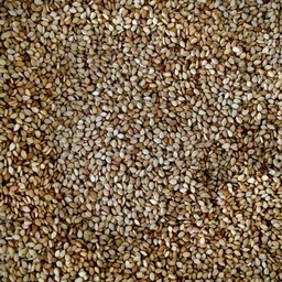 [ALI0004SET] Organic raw sesame seeds