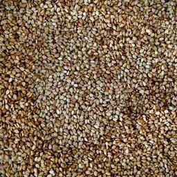 [ALI0004SET] Organic toasted sesame seeds