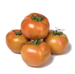 [10405] Salad tomato